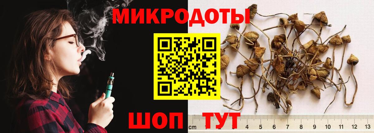 Бошки Шишки Великие Луки